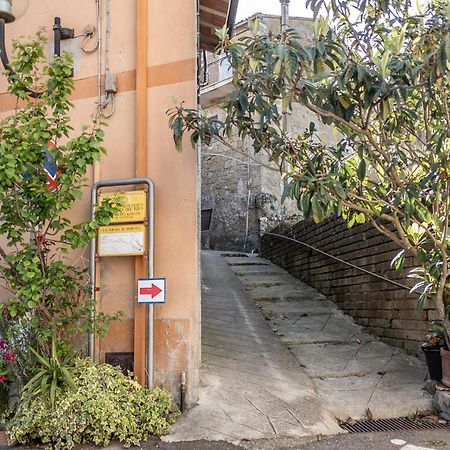 San Quirico Casina Di Tufo A 5 Minuti Da Sorano E Pitigliano, Wi-Fi别墅 外观 照片
